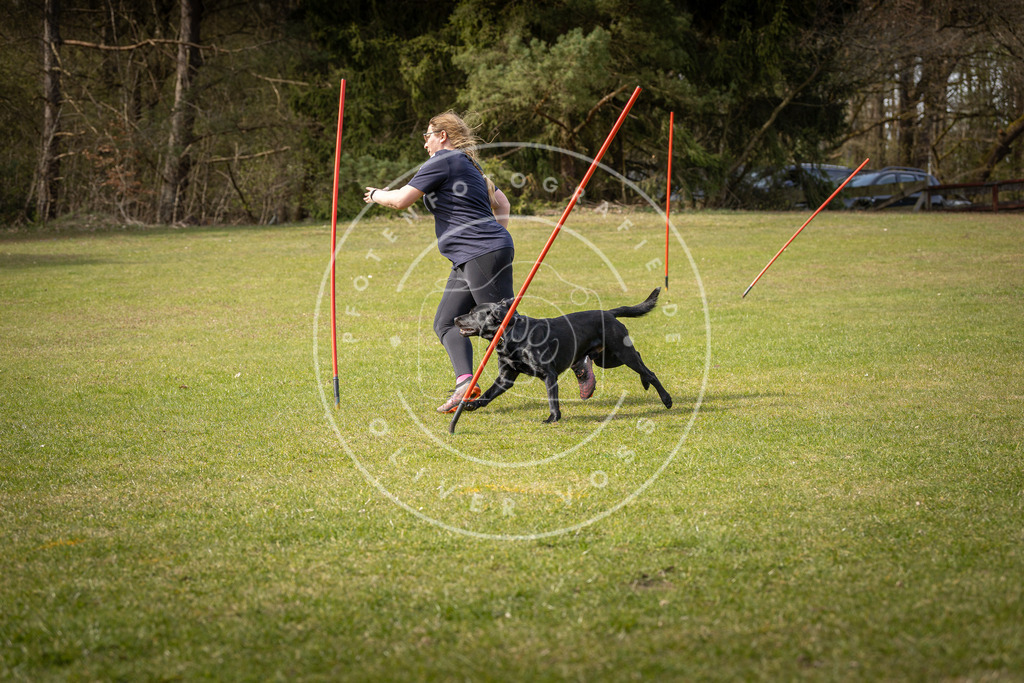 Pfotenfotografie_DV3A9863 | Hundefotografie, Tierfotograf, Pfotenfotografie, Fotoshooting Hund, Hunde Portrait, Hundesport, Hundeportraits, Heideshooting, Hunde, Sportfotograf, Hundefotograf, Turnierhundsport, THS,  - Realisiert mit Pictrs.com