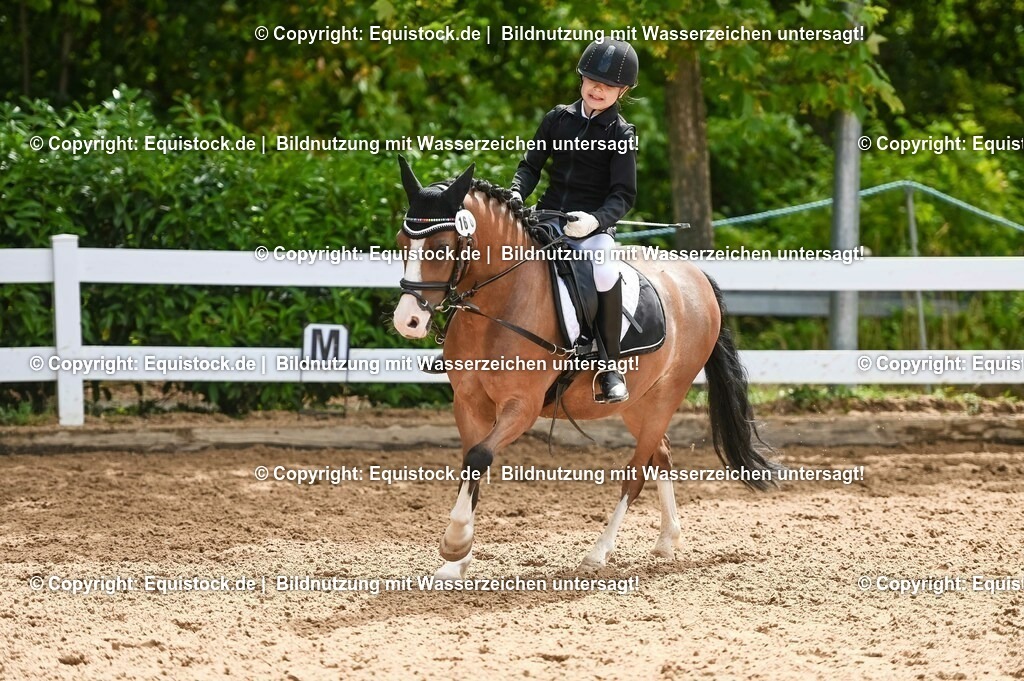 20230716_10-3_Reiter-WB Schritt - Trab - Galopp_0144 | equistock