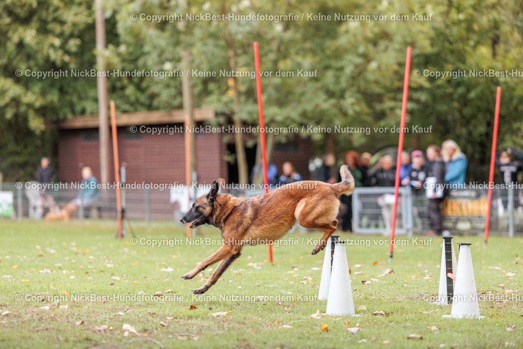 THS-HSV-Blumenthal-2026-Nickbest-Hundefotografie-4444 | Dein Hund! Dein Moment! Deine Erinnerungen! Hundefotografie in Bremen Blumenthal. Ich fange die besonderen Momente deines Vierbeiners ein – ob Indoor mit Blitzanlage oder in der freien Natur. Sicher dir dein Moment und dein Termin für eure Erinnerungen.