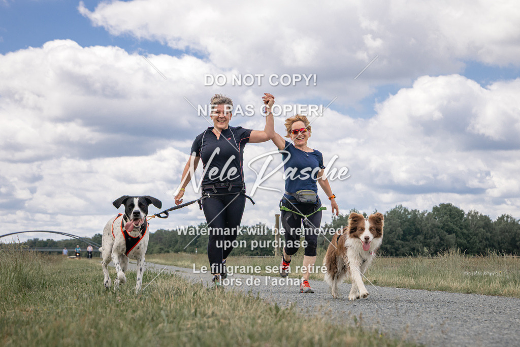 nelerasche_BuHu2026_SaCC1100-1200_155 | nelerasche