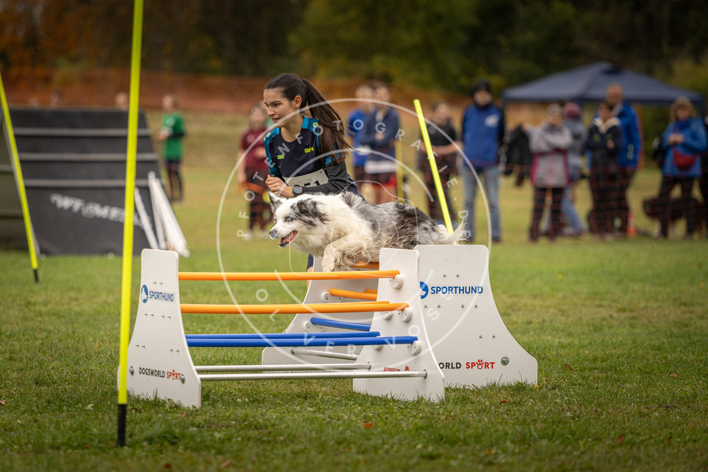 Pfotenfotografie_DV3A6102 | Hundefotografie, Tierfotograf, Pfotenfotografie, Fotoshooting Hund, Hunde Portrait, Hundesport, Hundeportraits, Heideshooting, Hunde, Sportfotograf, Hundefotograf, Turnierhundsport, THS,  - Realisiert mit Pictrs.com