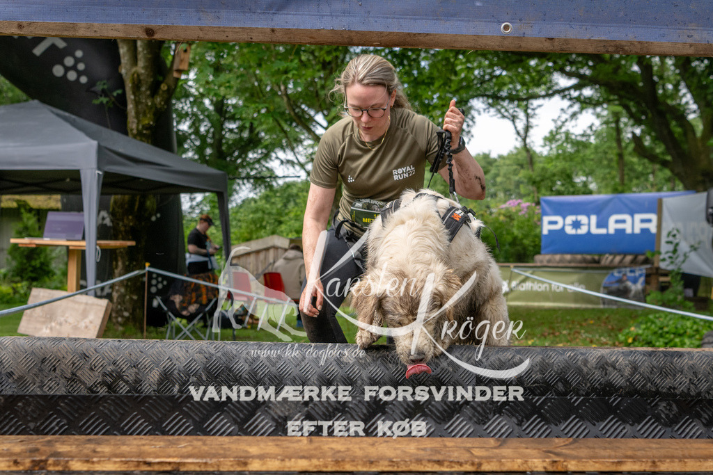 1018_ZZ90533 | kk-dogfotos