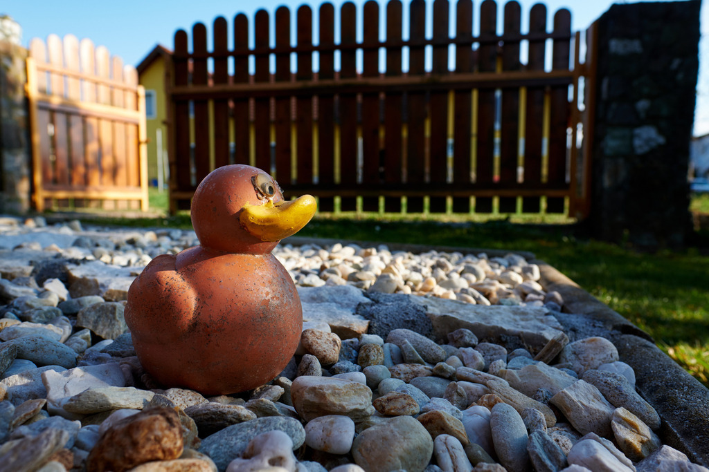 Ente aus Ton in der Gartenanlage | Austria - April 25, 2020: Impressionen aus dem Hausgarten; Ente aus Ton in der Gartenanlage. - Realisiert mit Pictrs.com