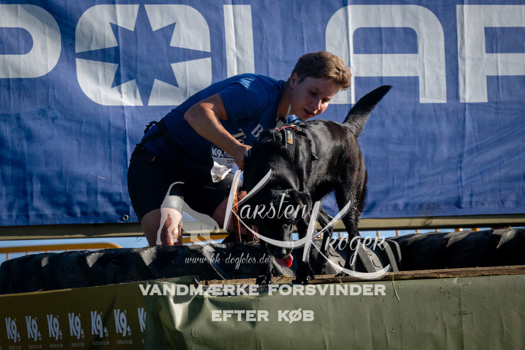 0845_ZZ94916 | kk-dogfotos