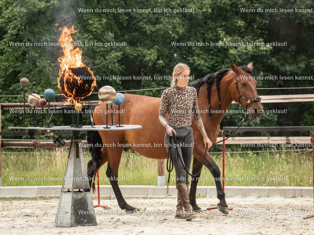 598A8098 | photographylinaismer - Realisiert mit Pictrs.com