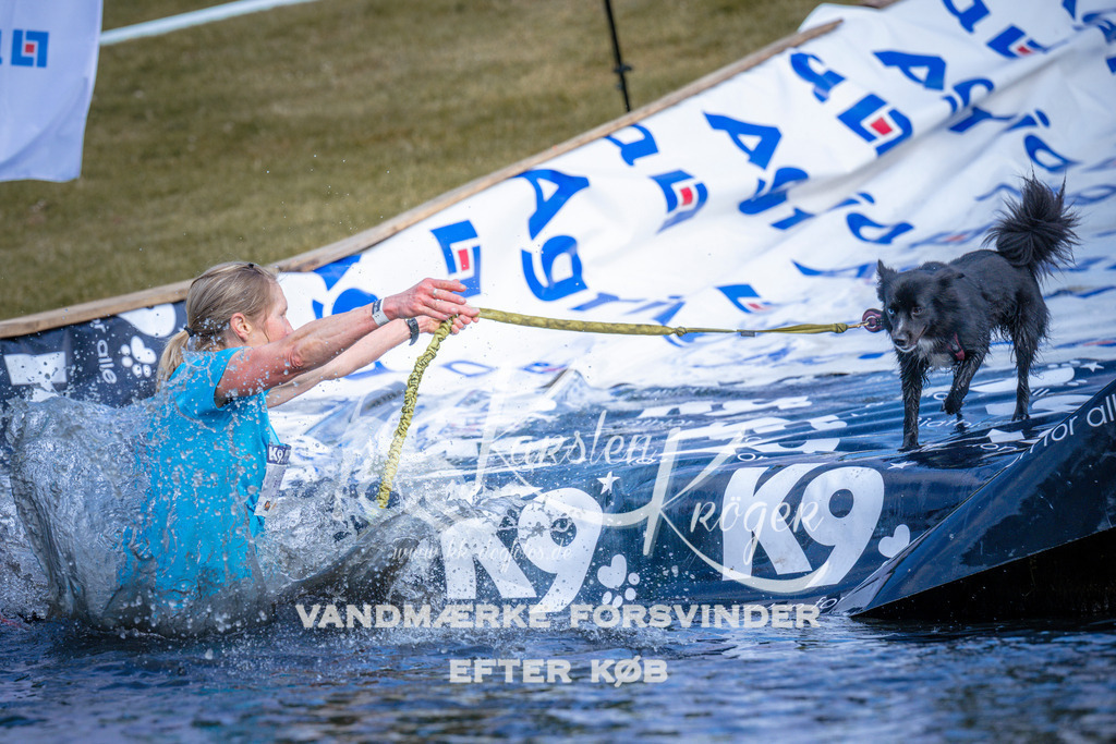 _ZZ972910742 | kk-dogfotos