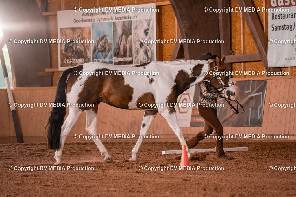 NE201511 | dv-media-shop - Realisiert mit Pictrs.com