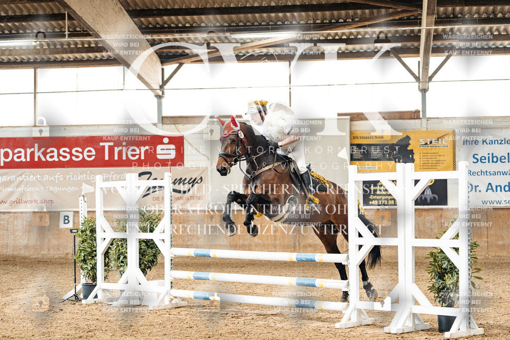 CK905486 | Turnierfotografie Pferdefotografie Trier Rheinland-Pfalz Pferdesport Reitsport Tierfotografie Sportfotografie Pferdevideo Pferdevideografie Equestrianvideography equestrianphotography  - Realisiert mit Pictrs.com