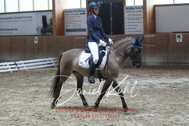 DKP44389 | Turniersportfotografie; Pferdefotografie; Dressurfotografie