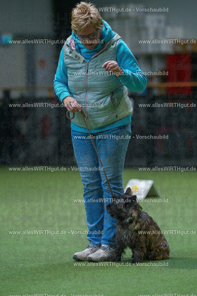 7R503258 | Professionelle Tierfotografie in Mönchengladbach von Daniel Wirth (allesWIRTHgut). Liebevolle & natürliche Bilder von Hunden & Katzen für unvergessliche Erinnerungen.