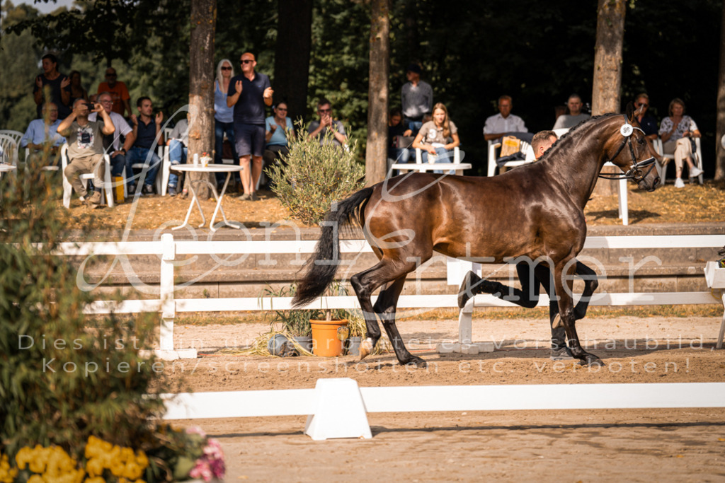 FrER00183 | Leoni Ertmer Photography - Realisiert mit Pictrs.com