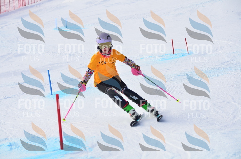 C7818 | holidayphoto