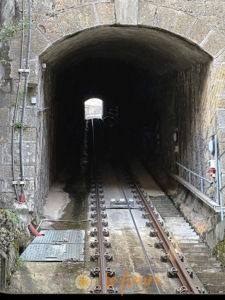 22854C14-9C8C-4962-9AEF-2A737196D0E7 | Dies ist der Shop von Florian Blum - le fleuri. Langenthal, Bern, SchweizSie können hier meine oder ihre eigenen Fotos als Fotoprodukte kaufen. Tassen, Schlüsselanhänger, Taschen etc. können Sie hier gestalten.  - Realisiert mit Pictrs.com