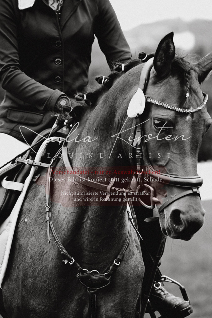 DSC_6755 | Pferde- und Turnierfotografie in Westsachsen. Pferdeportraits, Auftragszeichnungen und intuitive Kunst.