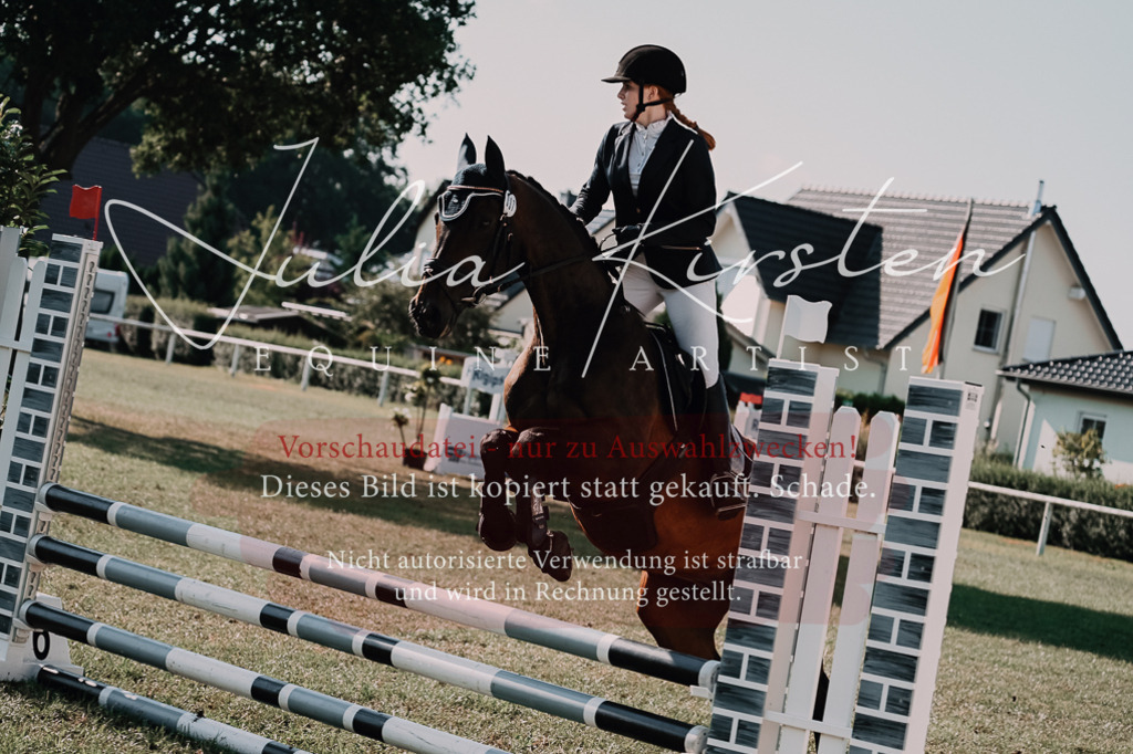 DSC_4813 | Pferde- und Turnierfotografie in Westsachsen. Pferdeportraits, Auftragszeichnungen und intuitive Kunst.