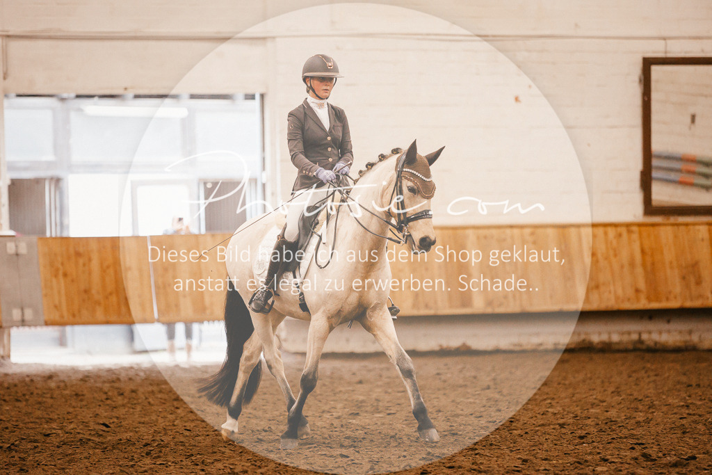 3I6A2741 | Stimmungsvolle Portraits und Reitsportfotografie im Ruhrgebiet und im Münsterland.

Pferdefotografie, Hundefotografie, Tierfotografie, Reportagen, Portraits von Tier und Mensch, Turnierfotografie in Bochum, Recklinghausen, Marl, Haltern am See, Dülmen.. - Realisiert mit Pictrs.com