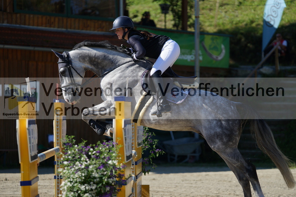 DSC02328 | equestrian-live-com