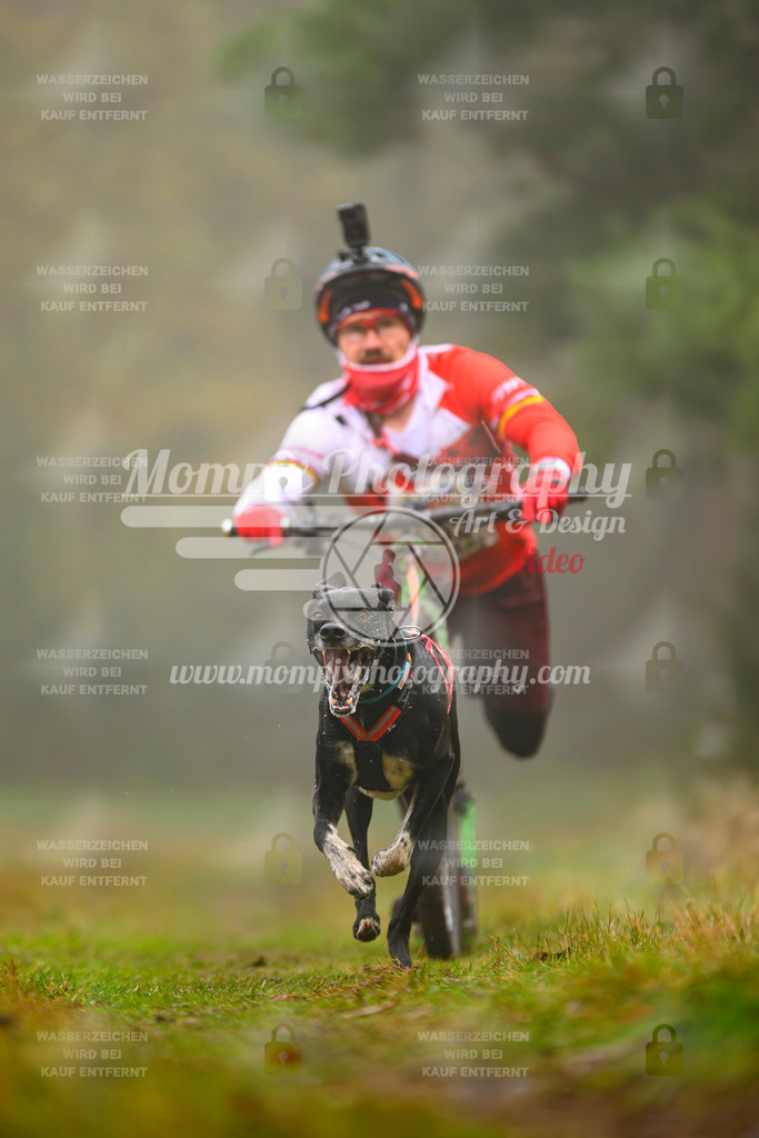 MompixPhotography_Bischwiller2025_Scooter-22 | mompixphotography