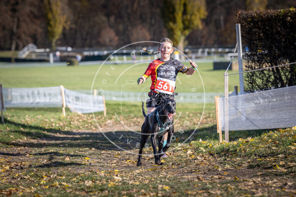 CaniXpix_DV3A8693 | Hundefotografie, Tierfotograf, Pfotenfotografie, Fotoshooting Hund, Hunde Portrait, Hundesport, Hundeportraits, Heideshooting, Hunde, Sportfotograf, Hundefotograf, Turnierhundsport, THS,  - Realisiert mit Pictrs.com