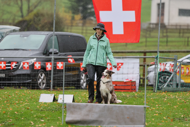 2025_Rally_Obedience_SM-216 | Ich fotografiere Hundeausstellungen, Sportanlässe, Zuchtstätten, Hundezucht, Hundeportrait, Lagotto - Realisiert mit Pictrs.com