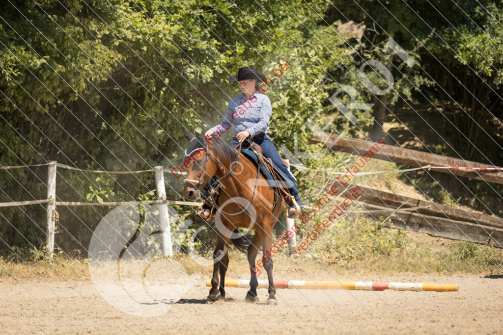 IMG_9734 | Sport-, Event- und Tierfotos in Profiqualität. Einfach auswählen, bestellen und herunterladen. Dein Moment – perfekt festgehalten.