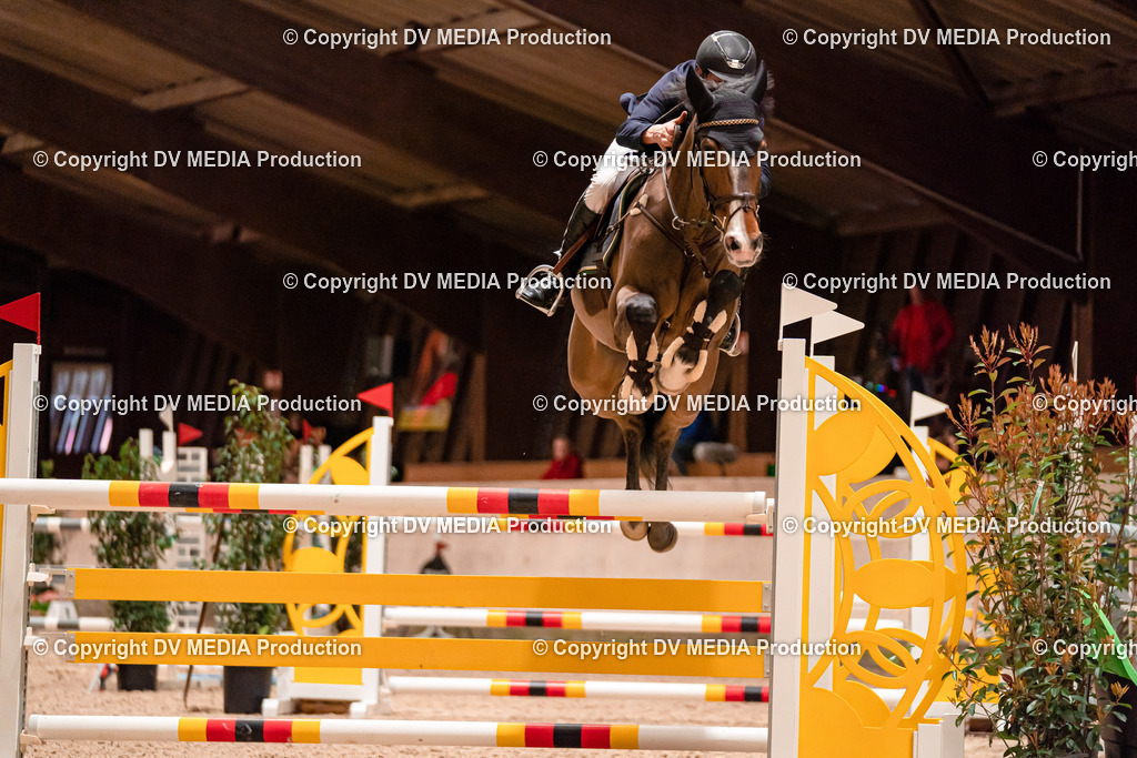 Springen Tag 1-789 | dv-media-shop - Realisiert mit Pictrs.com