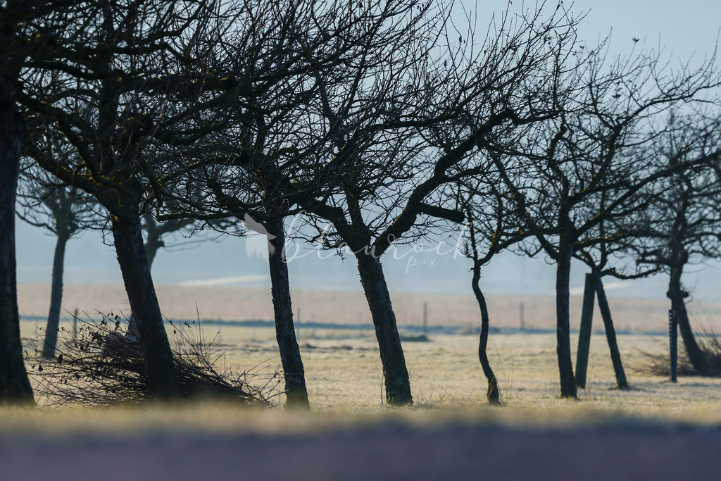 701A5143 | Sportbilder, Sportfotograf, Hochzeits- und Eventfotografin, Flugshows, Portraits und Tiershooting, Aviation, Downhill, Nationalleague, Swissleague, International