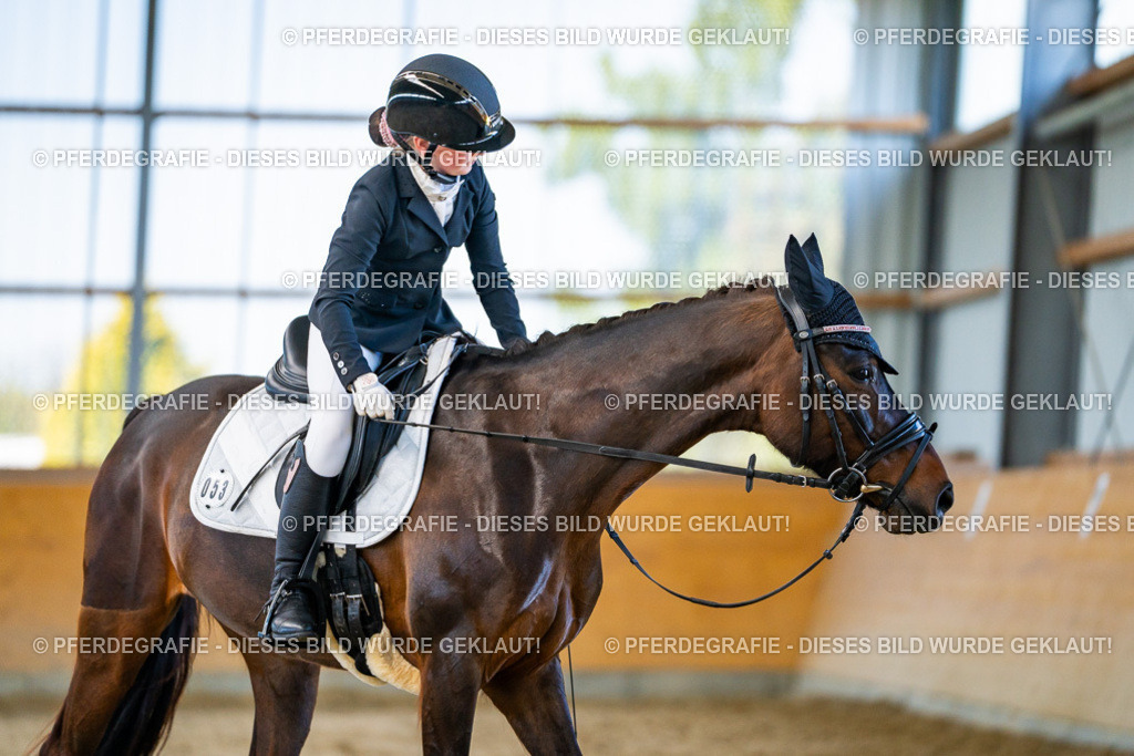 DSC06407 | Pferdegrafie