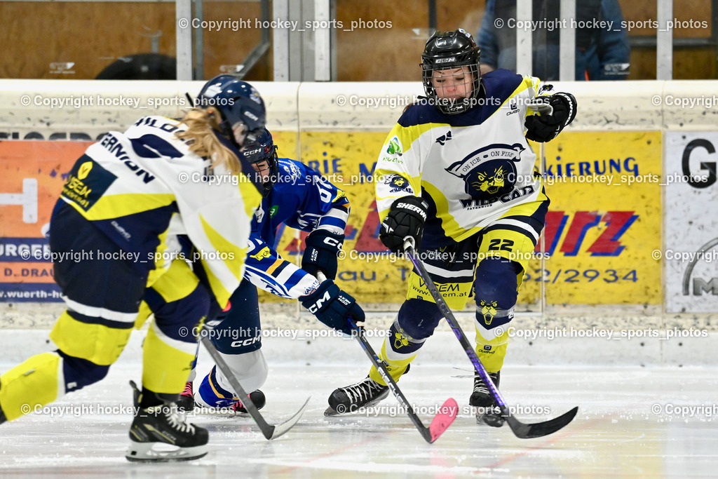 Wildcats Paternion vs. Lady Hawks  | #22 Oberrauner Franziska WILDCATS PATERNION, Wildcats Paternion vs. Lady Hawks , Wildcats Paternion vs. Lady Hawks  am 27.01.2025 in Spittal an der Drau (Eissportzentrum Spittal), Austria, (Photo by Bernd Stefan)
