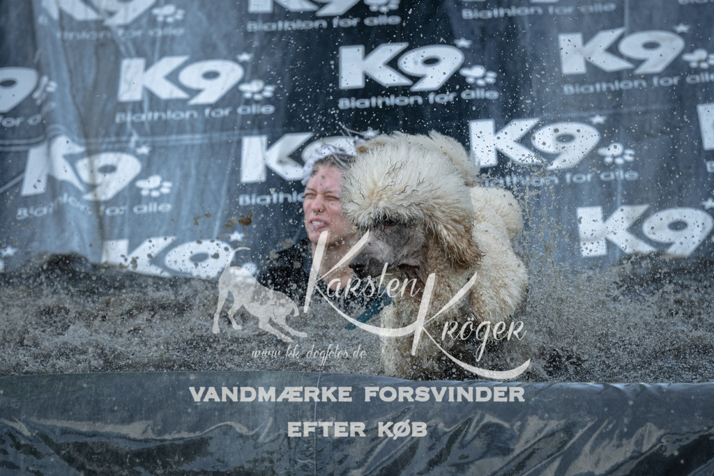 1601_ZZ91900 | kk-dogfotos