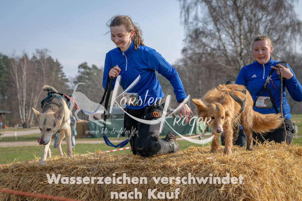 _ZZ90045 | kk-dogfotos