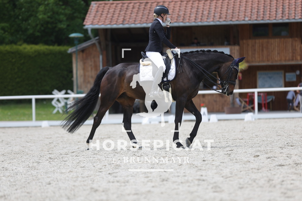 0P6A5578 | Willkommen bei Brunnmayr - Design & Fotografie – Ihrem Spezialisten für Reitturniere und Pferdeveranstaltungen in Oberösterreich, Salzburg und Bayern! Seit über 17 Jahren sind wir leidenschaftlich dabei.