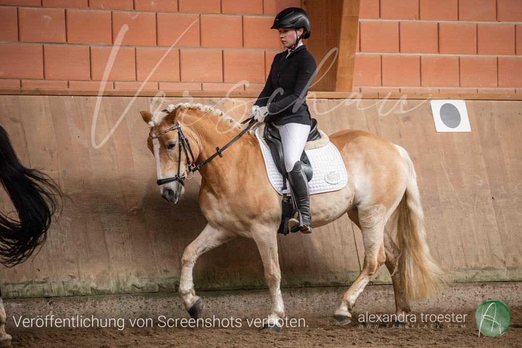 260328_Barop_11_195 | farbklaex.com