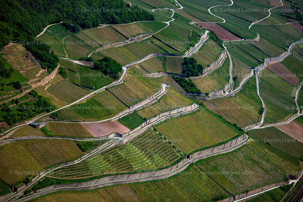 3800058 | Die Weinterrassen bei Rüdesheim