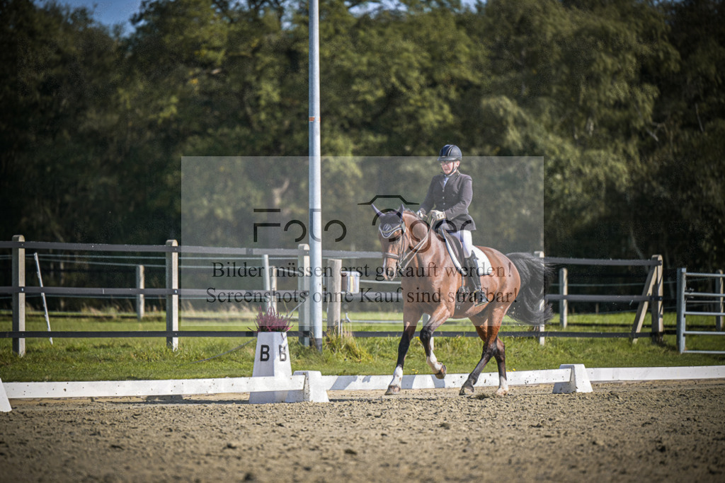 DOS_1126 | Entdecke hochwertige Reitturnierfotos von Foto Oger. Professionell, emotional und authentisch – jetzt Lieblingsmomente im Shop bestellen.Deutschlandweite Turnierfotografie. - Realisiert mit Pictrs.com