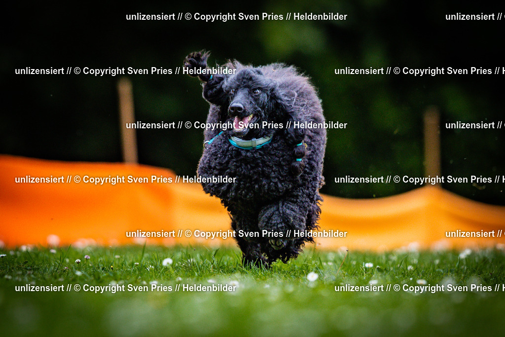 Sven Pries | 2025-05-29 - Pudelrennen KA-Durlach - Realisiert mit Pictrs.com