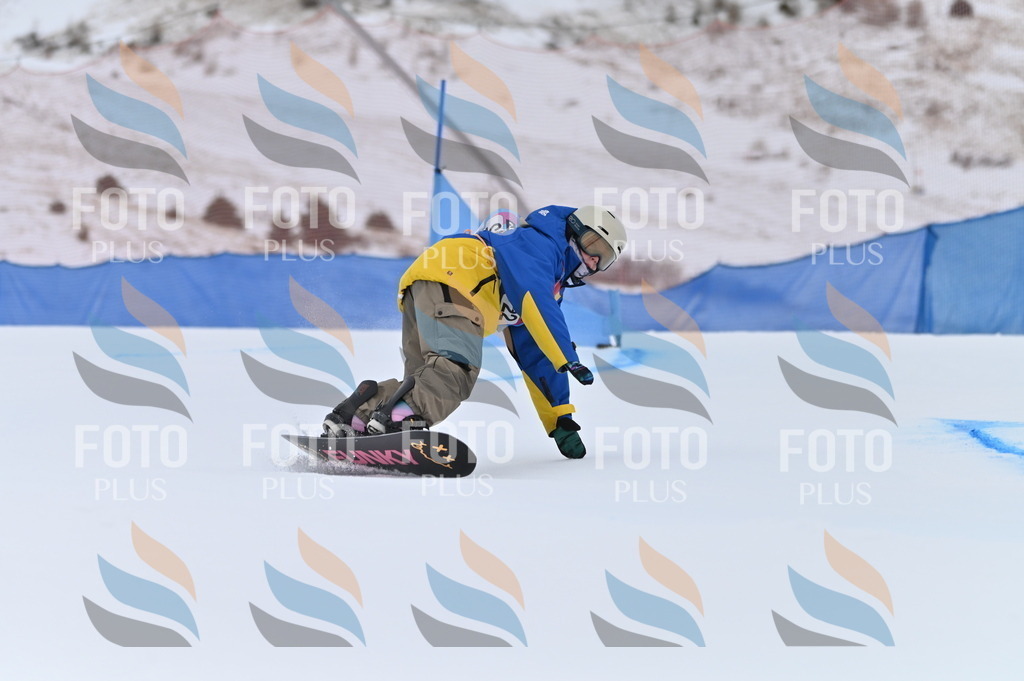 BGV_4781 | holidayphoto