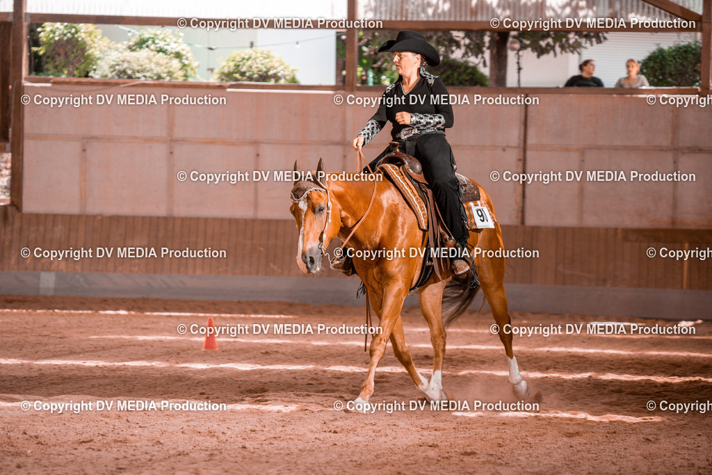 NE300651 | dv-media-shop - Realisiert mit Pictrs.com