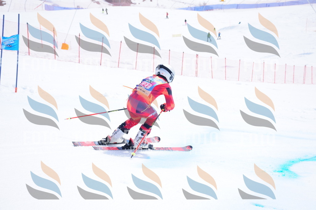 DSC_6020 | holidayphoto