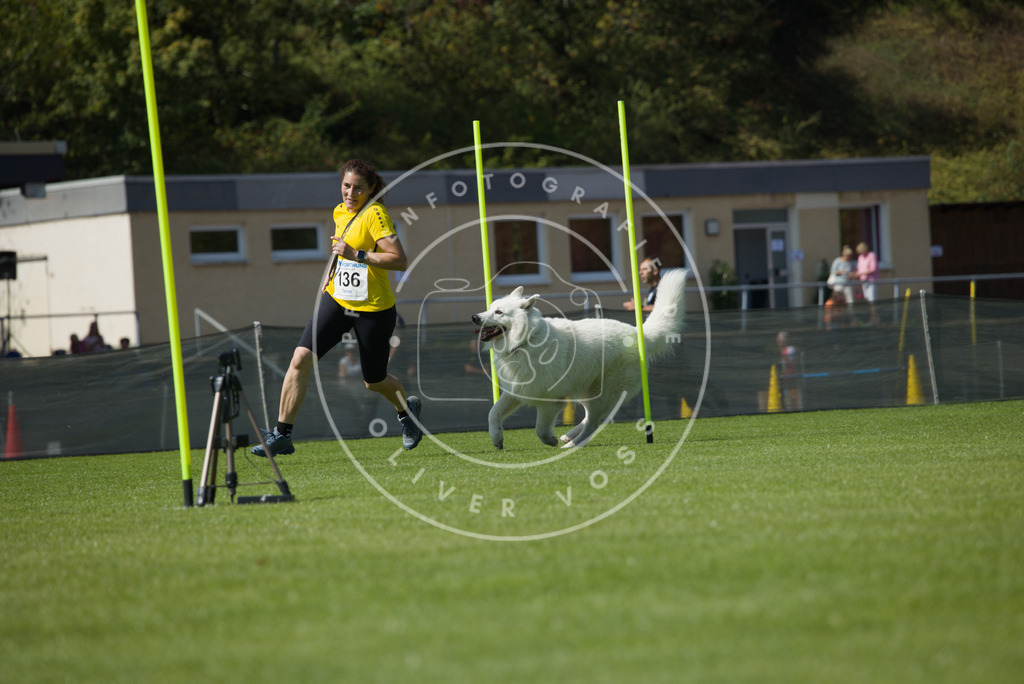 0L8A2988 | Hundefotografie, Tierfotograf, Pfotenfotografie, Fotoshooting Hund, Hunde Portrait, Hundesport, Hundeportraits, Heideshooting, Hunde, Sportfotograf, Hundefotograf, Turnierhundsport, THS,  - Realisiert mit Pictrs.com