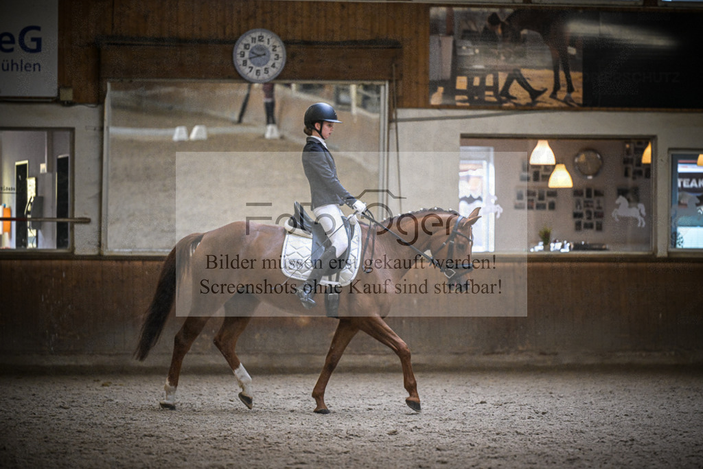 DOS_0255 | Entdecke hochwertige Reitturnierfotos von Foto Oger. Professionell, emotional und authentisch – jetzt Lieblingsmomente im Shop bestellen.Deutschlandweite Turnierfotografie. - Realisiert mit Pictrs.com