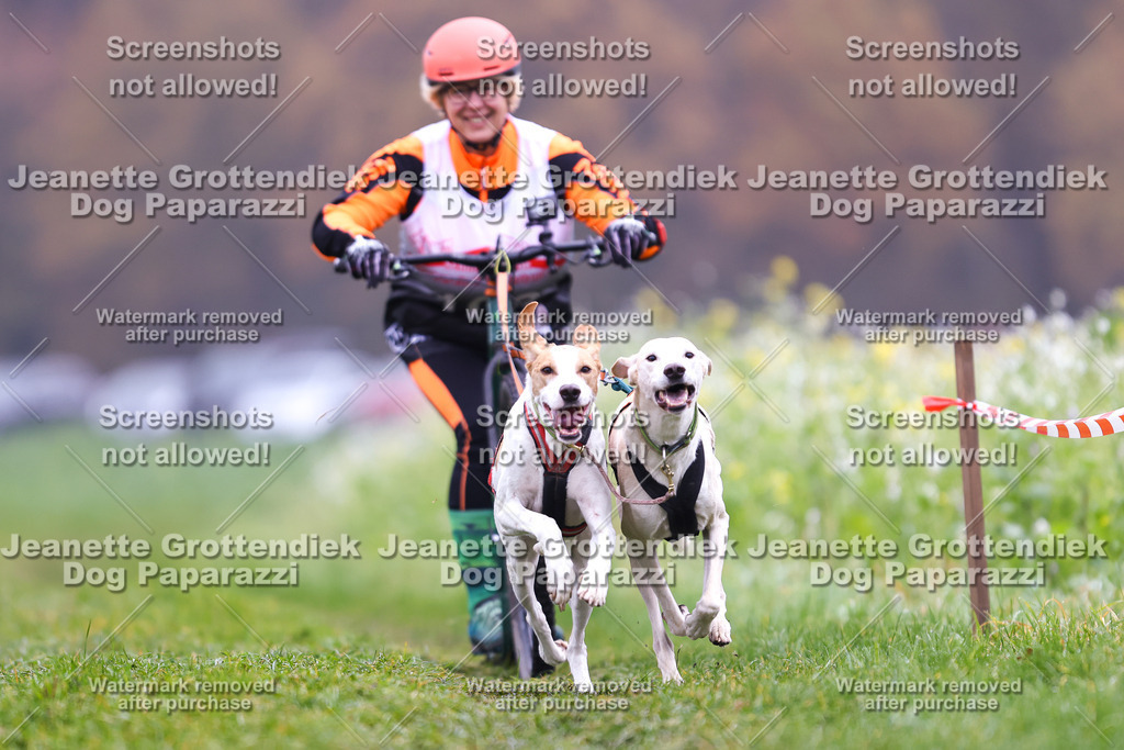 Dog Paparazzi - Visbeck 25 -99 | Dog Paparazzi Jeanette Grottendiek Fotografie & Videografie - Realisiert mit Pictrs.com