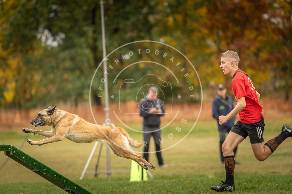 Pfotenfotografie_DV3A6741 | Hundefotografie, Tierfotograf, Pfotenfotografie, Fotoshooting Hund, Hunde Portrait, Hundesport, Hundeportraits, Heideshooting, Hunde, Sportfotograf, Hundefotograf, Turnierhundsport, THS,  - Realisiert mit Pictrs.com