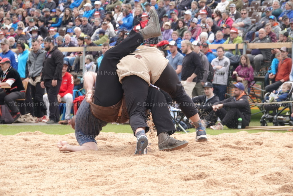 DSC04088 | Schwingen - Realisiert mit Pictrs.com
