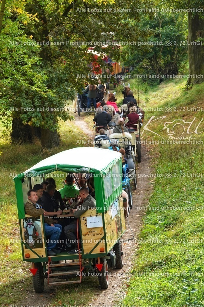 Photo_1696867182854 | krollfotografie - Realisiert mit Pictrs.com