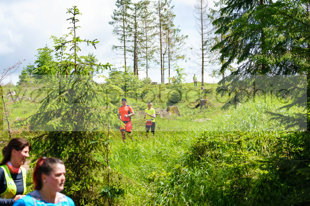 Rennsteiglauf Marathon 2024 | 25. Mai 2024 - 42,2 km von Neuhaus nach Schmiedefeld