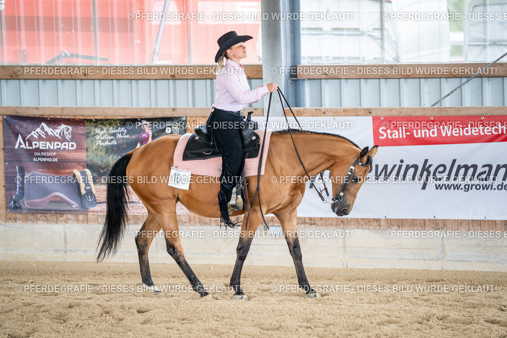 DSC02187 | Pferdegrafie