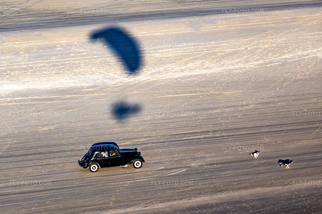 Aerial view: Driving in the sandy beach landscape along the coastline of the North Sea in Fanø in Fanø in the state South Denmark, Denmark.Photo: IMG_118784.jpg taken on 09/21/2019 by Werner Riehm/FLY-FOTO.comResolution of the original: 3734 x 2489 px