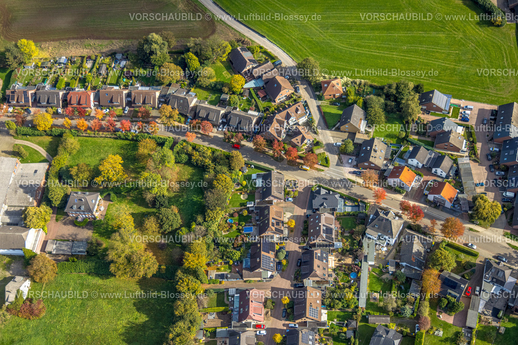 Rees251004785 | Luftbild, Weseler Straße und Baumallee rote Herbstbäume, Rees, Niederrhein, Nordrhein-Westfalen, Deutschland