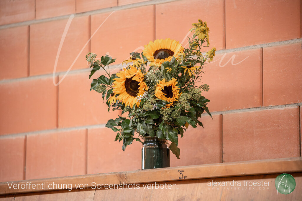 250913_Barop_13_026 | farbklaex.com